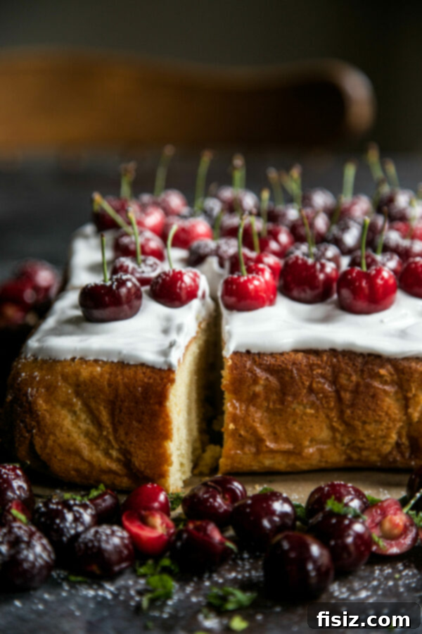 56 Sizzling July Recipes for a Delicious Summer 3 Cherry Party Cake with Bourbon Marshmallow Frosting - A festive summer dessert