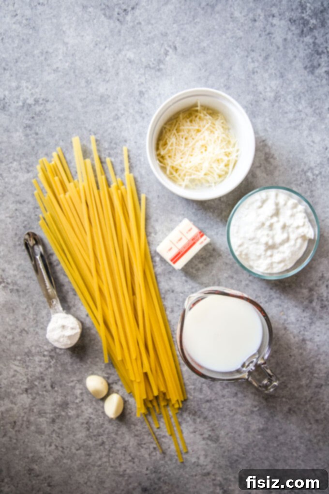 Effortless Creamy Cottage Cheese Alfredo 4 Ingredients laid out for making the creamy cottage cheese Fettuccine Alfredo sauce