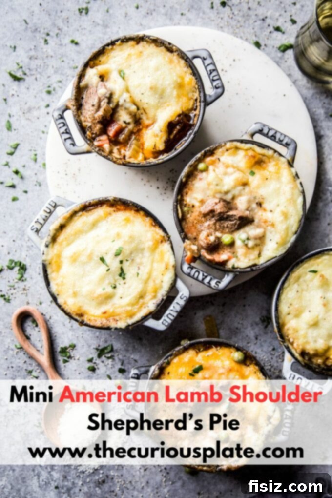 Individual American Lamb Shoulder Shepherd's Pie 20 A final, enticing close-up of a Mini American Lamb Shoulder Shepherd's Pie, garnished with fresh herbs, ready for serving.