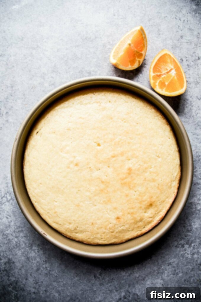 Velvety Citrus Ricotta Cake with a Bright Orange Drizzle 6 Freshly baked golden brown Citrus Ricotta Cake in a round pan