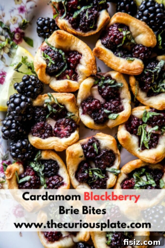Spiced Blackberry Brie Delights 10 Cardamom Blackberry Brie Bites