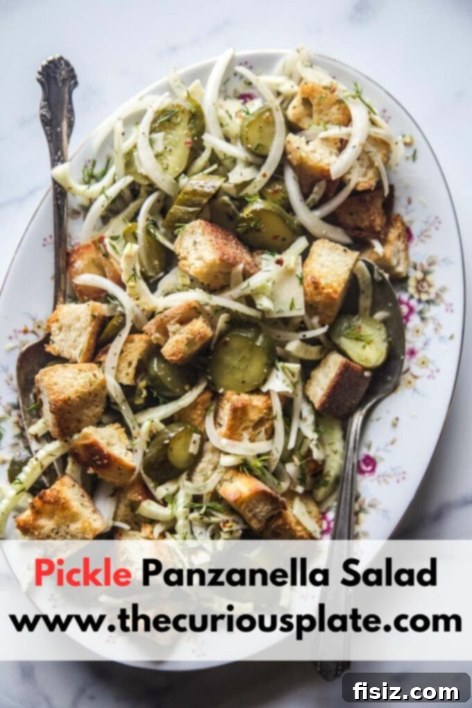 Zesty Pickle Panzanella 10 Delicious Pickle Panzanella Salad ready to be enjoyed