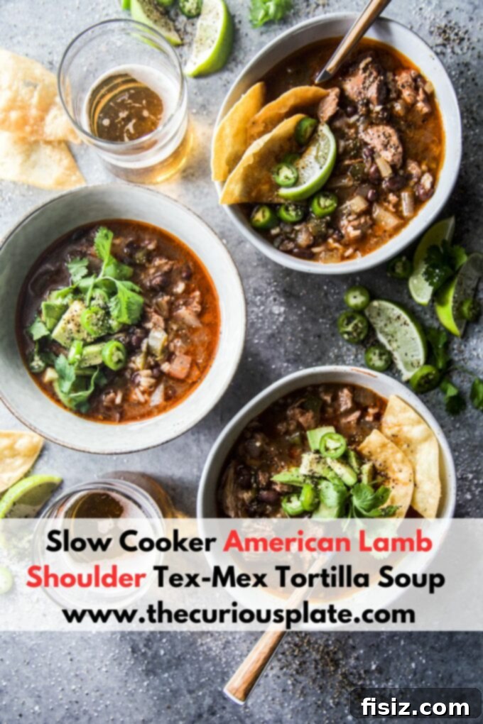 Tender Slow Cooker Tex-Mex Lamb Tortilla Soup 10 Large bowl of Slow Cooker American Lamb Shoulder Tex-Mex Tortilla Soup, ready to be served