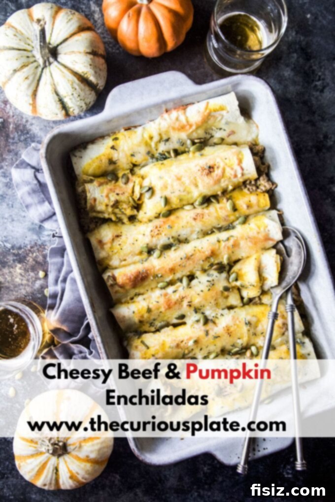 Smothered Beef and Pumpkin Enchiladas 11 cheesy beef & pumpkin enchiladas with a serving spoon