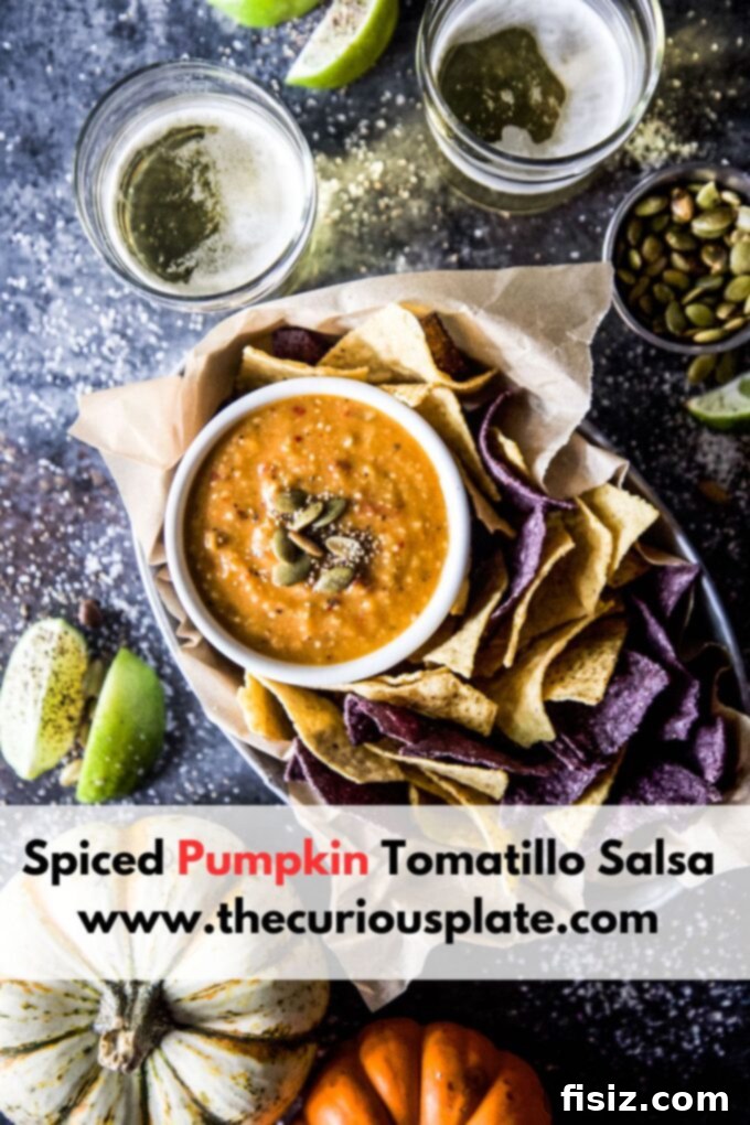 Tangy Heat Pumpkin Tomatillo Salsa 10 Overhead shot of the finished Spiced Pumpkin Tomatillo Salsa with tortilla chips, ready for a gathering.