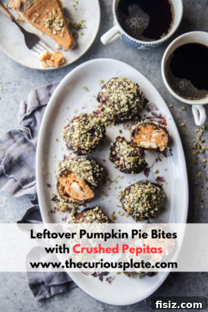 Pumpkin Pie Energy Bites with Toasted Pepitas 10 Final presentation of Leftover Pumpkin Pie Bites ready to be served