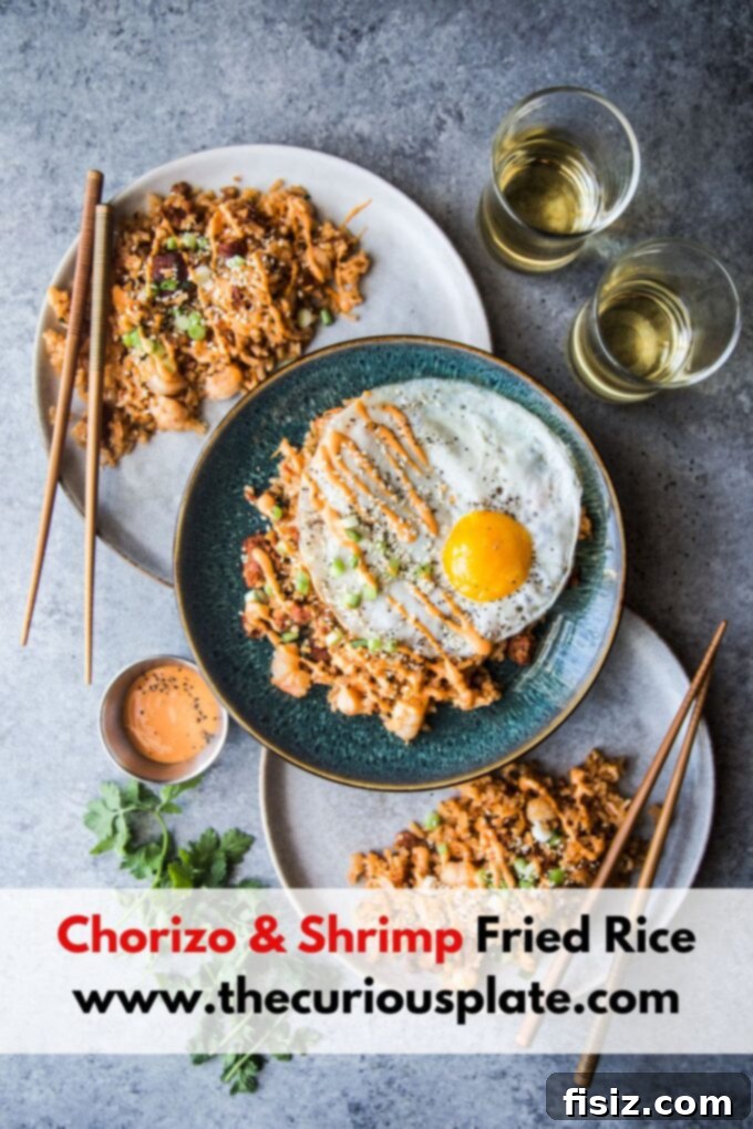 Fiesta Chorizo Shrimp Fried Rice 9 chorizo and shrimp fried rice