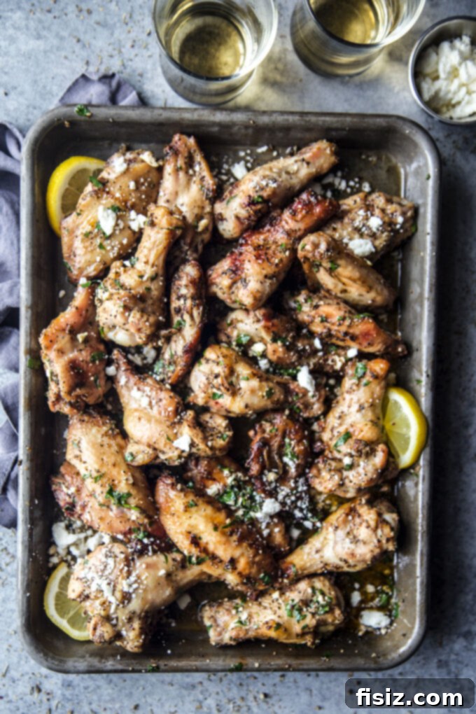 Zesty Spiced Greek Grilled Wings 2 grilled greek chicken wings