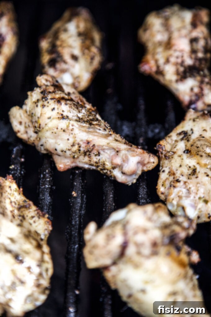 Zesty Spiced Greek Grilled Wings 6 grilled greek chicken wings