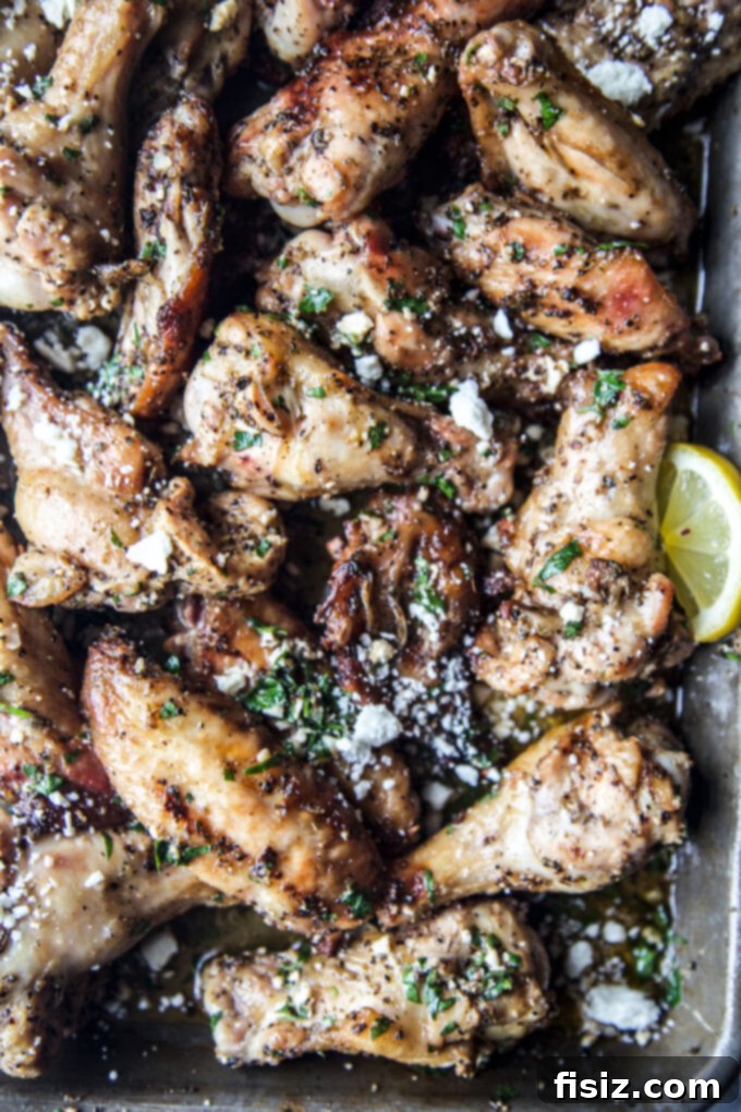 Zesty Spiced Greek Grilled Wings 7 grilled greek chicken wings
