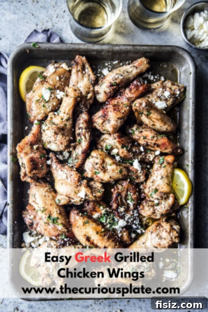 Zesty Spiced Greek Grilled Wings 9 grilled greek chicken wings