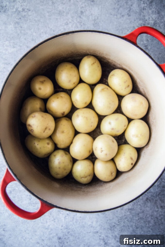 Tangy Sour Cream Onion Potato Salad 4 Ingredients for Easy Sour Cream and Onion Potato Salad
