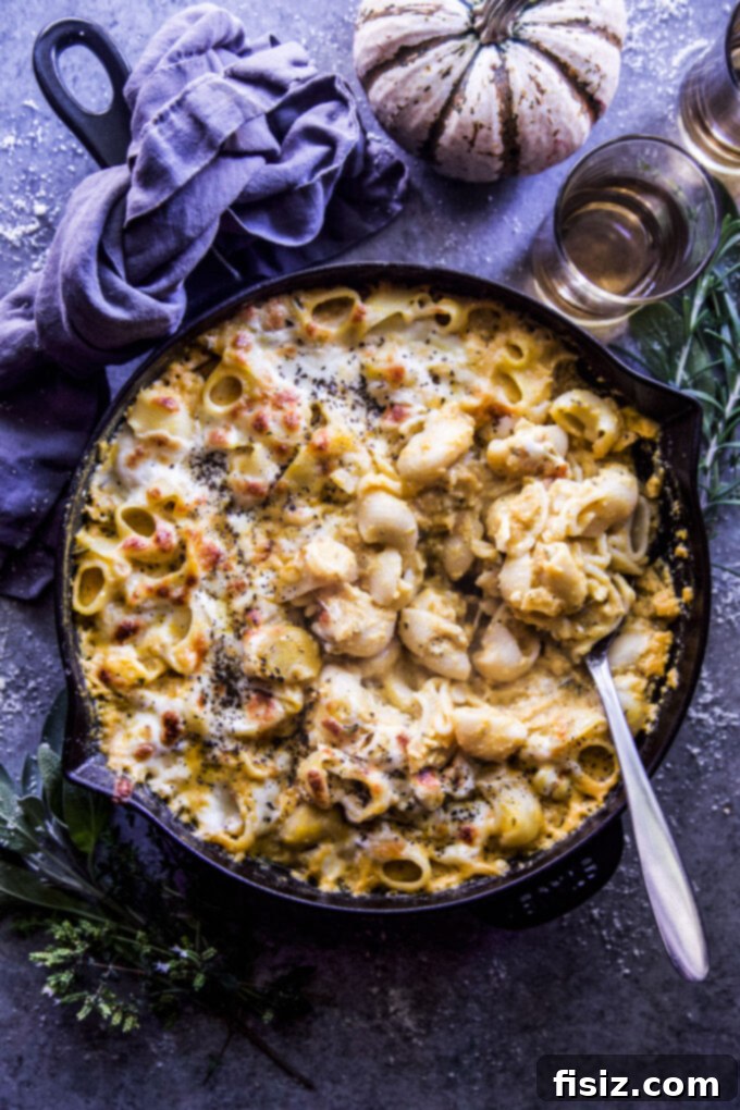 Creamy Three Cheese Pumpkin Pasta Bake 2 Three Cheese Pumpkin Pasta Bake