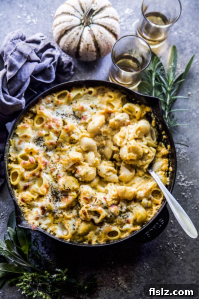 Creamy Three Cheese Pumpkin Pasta Bake 7 pasta pumpkin bake