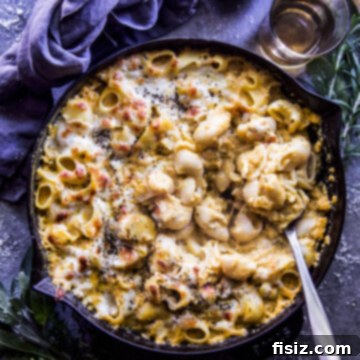 Creamy Three Cheese Pumpkin Pasta Bake 9 Three Cheese Pumpkin Pasta Bake
