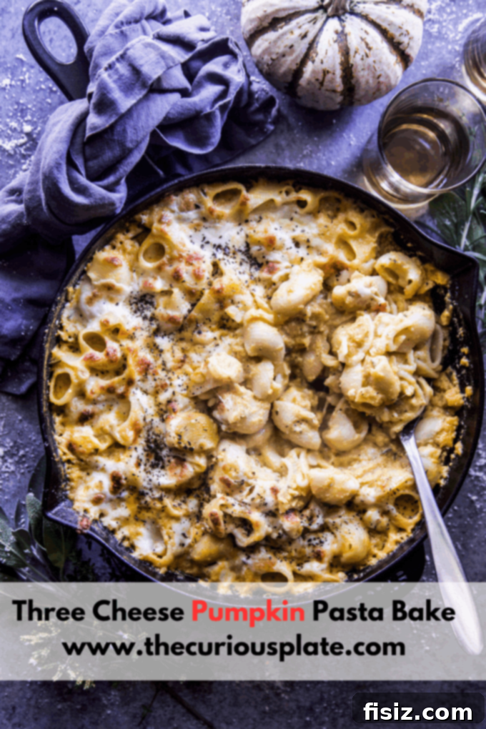 Creamy Three Cheese Pumpkin Pasta Bake 10 Three Cheese Pumpkin Pasta Bake