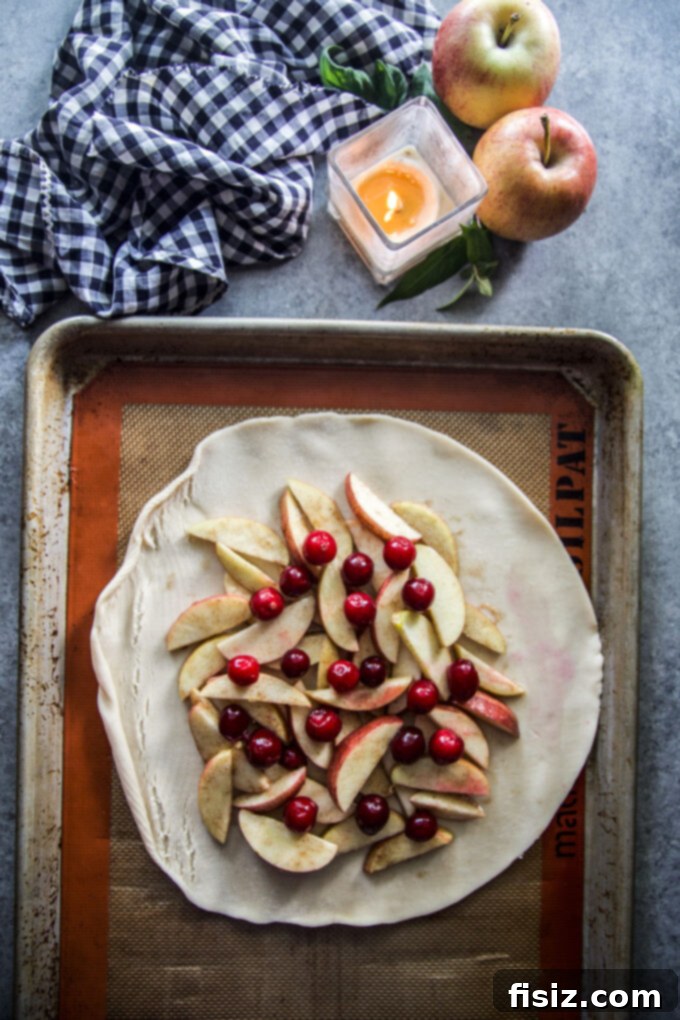 Orchard Spice Galette 6 galette in freeform