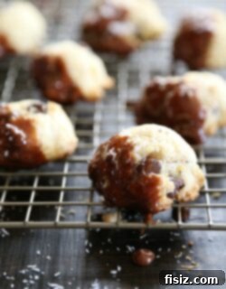 Indulgent Dark Chocolate Coconut Biscotti Bites with Cadbury Creme Ganache 2 img 6648 5