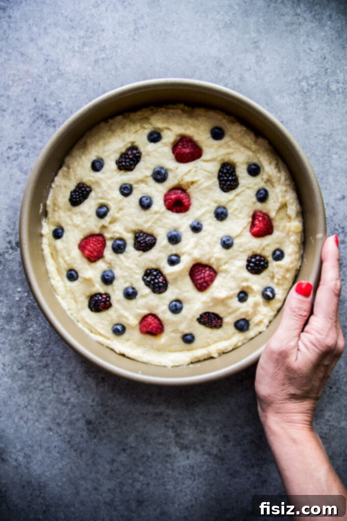Effortless Berry Ricotta Delight 8 A whole Ricotta Cake with Fresh Berries, dusted with powdered sugar