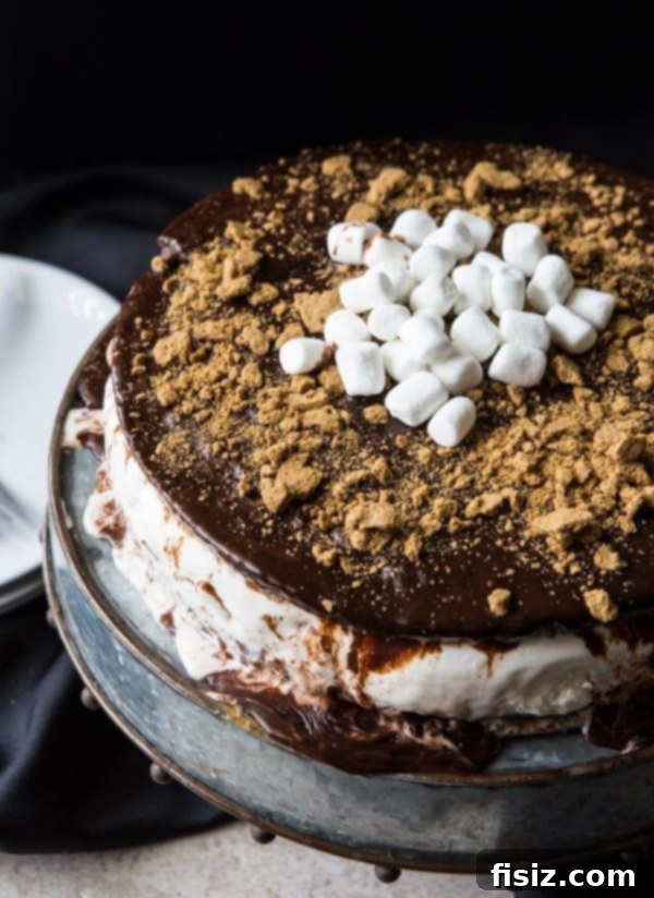 Refreshing S'more Brownie Ice Cream Cake, featuring layers of chocolate brownie, vanilla ice cream, and toasted marshmallow.