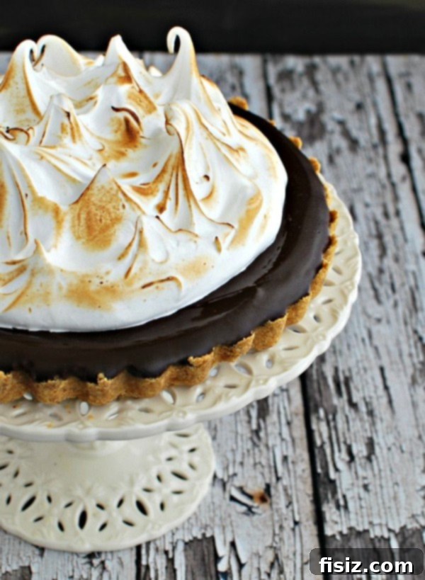 Elegant S'mores Chocolate Tart, featuring a rich chocolate filling topped with perfectly toasted marshmallow meringue.