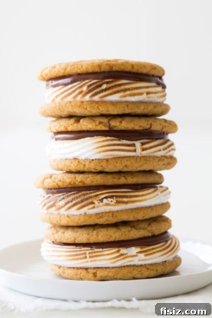 Gooey S'mores Cookie Sandwiches, with toasted marshmallows and melted chocolate sandwiched between two chocolate chip cookies.