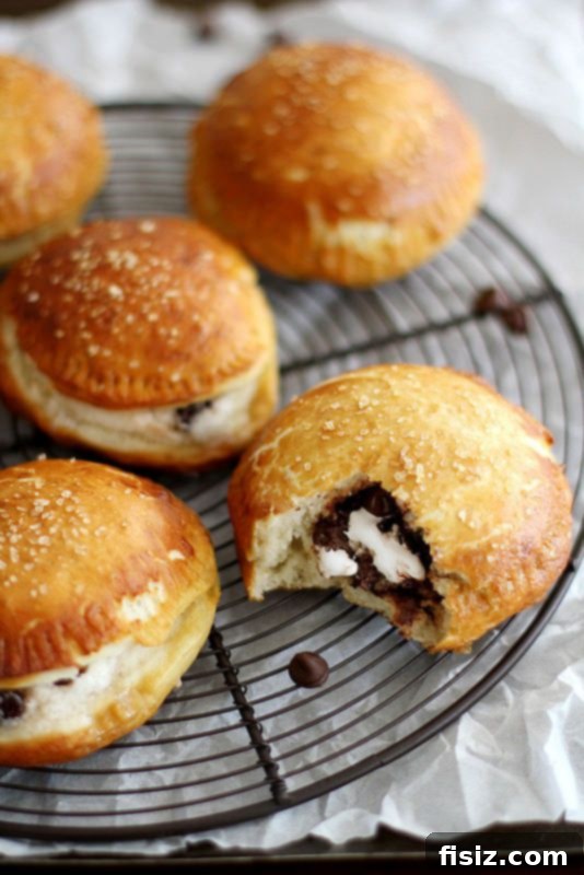 Sweet and salty S'mores Pretzel Hand Pies, featuring a pretzel crust filled with chocolate and marshmallow.