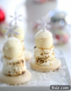 Winter Peppermint White Chocolate Truffle S'mores 2 img 9830 5