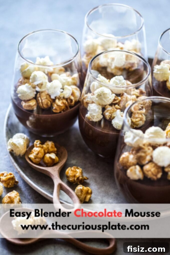 Effortless Chocolate Dream: A Blender Mousse Recipe 10 Easy Blender Chocolate Mousse
