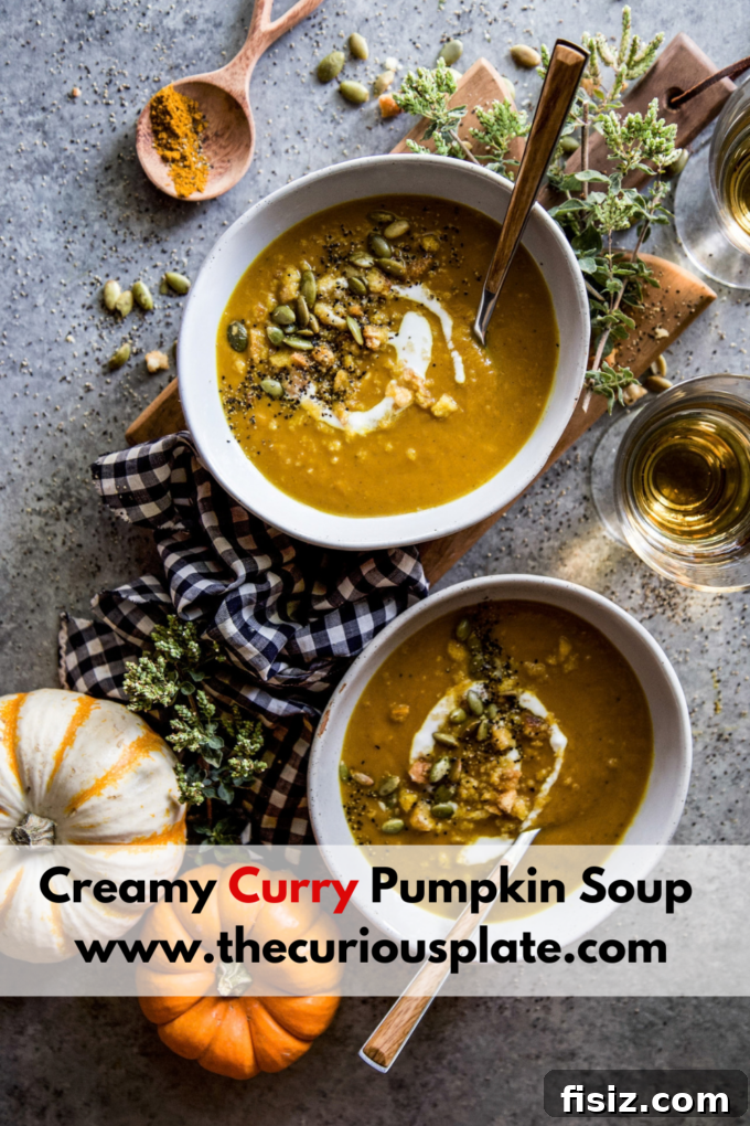 Creamy Curry Pumpkin Soup